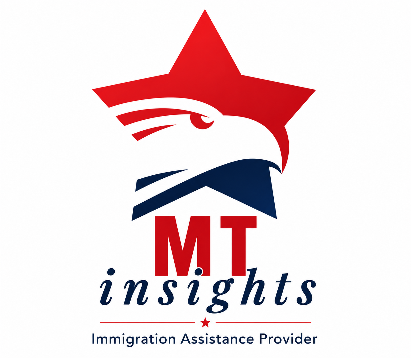 MT Insights Logo